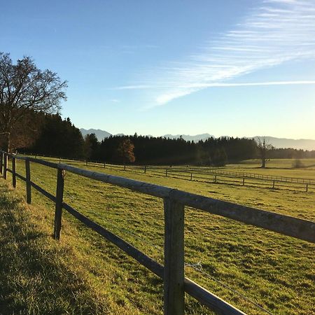 Ferienhaus Antdorfer Gartenglueck Zewnętrze zdjęcie