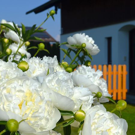 Ferienhaus Antdorfer Gartenglueck Zewnętrze zdjęcie