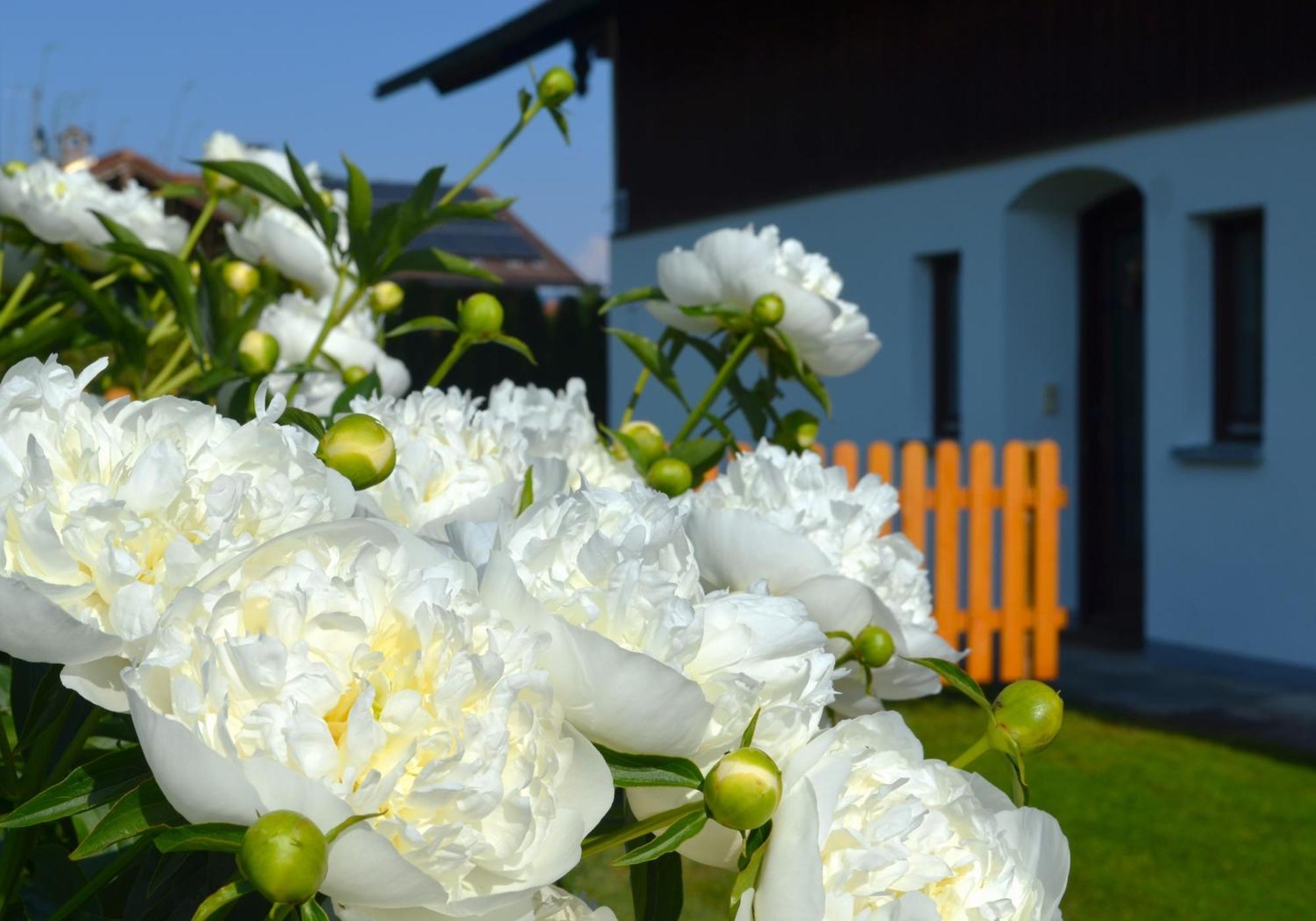 Ferienhaus Antdorfer Gartenglueck Zewnętrze zdjęcie